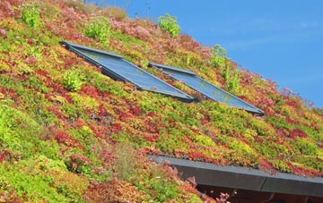 Tottenham Hale living roof systems