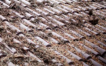 Tottenham Hale roof cleaning companies