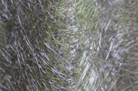 Tottenham Hale fibreglass roof work